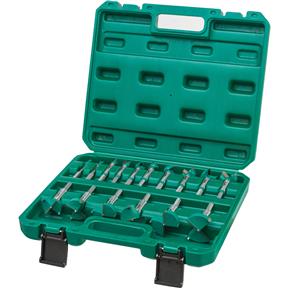 Grizzly PRO T33695 - Titanium Coated Hex Shank Forstner Bit Set
