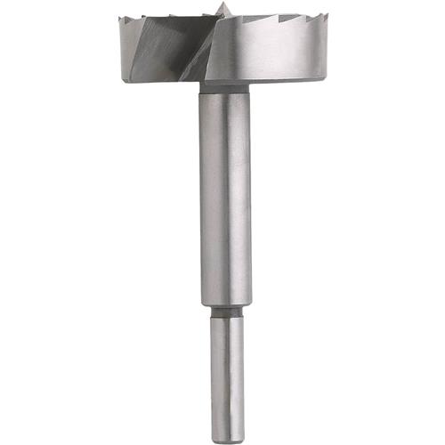 Image for Steelex D1024 - Forstner Bit - 3"