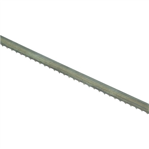 Image for T31516